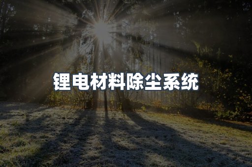 锂电材料除尘系统